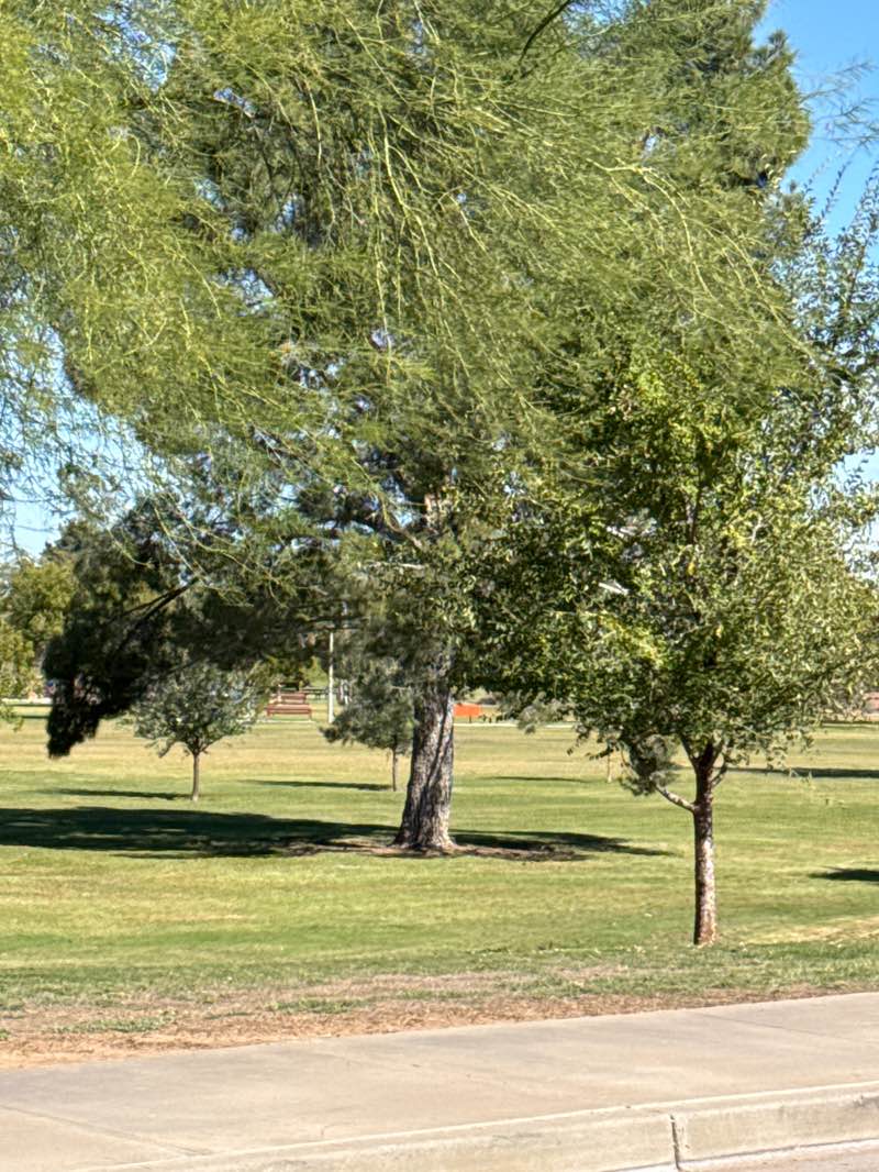 walking near me in Harelson Park in autumn