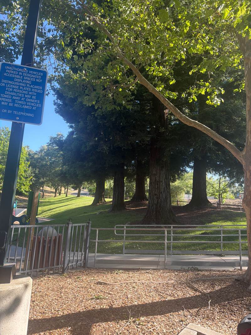 walking near me in Oak Hill Park in summer