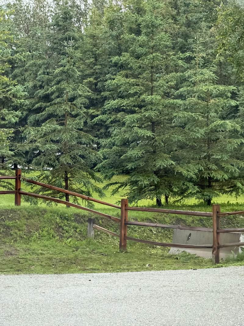 walking near me in Matanuska River Park in summer