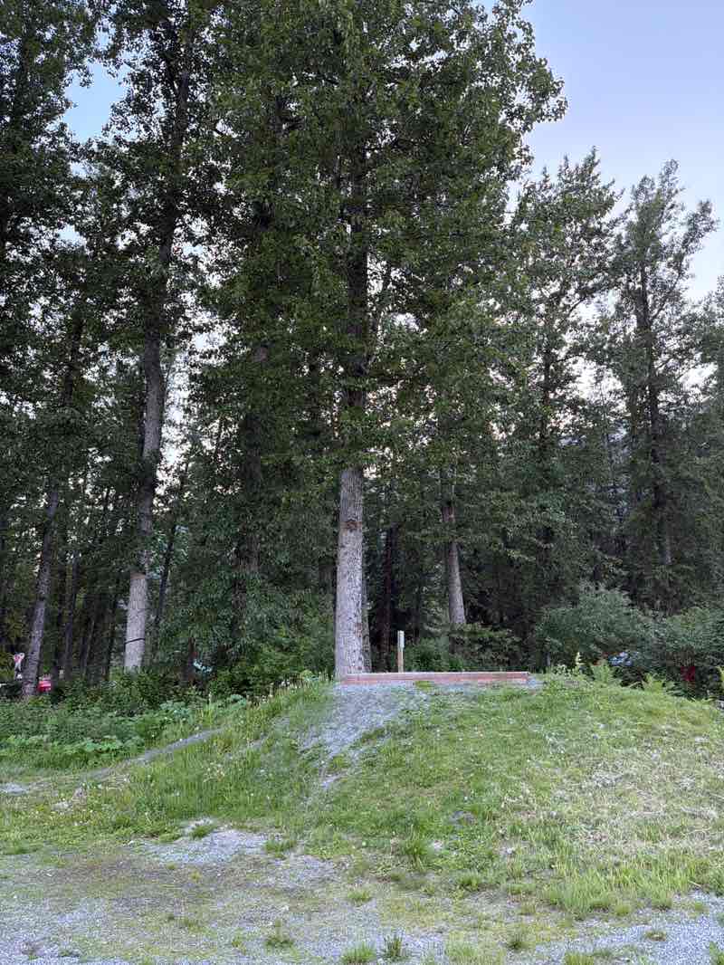walking near me in Girdwood Park in summer