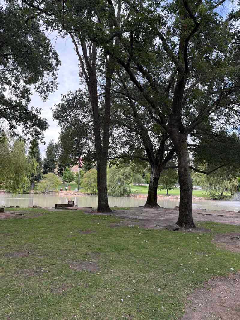 walking near me in Oak Hill Park in summer