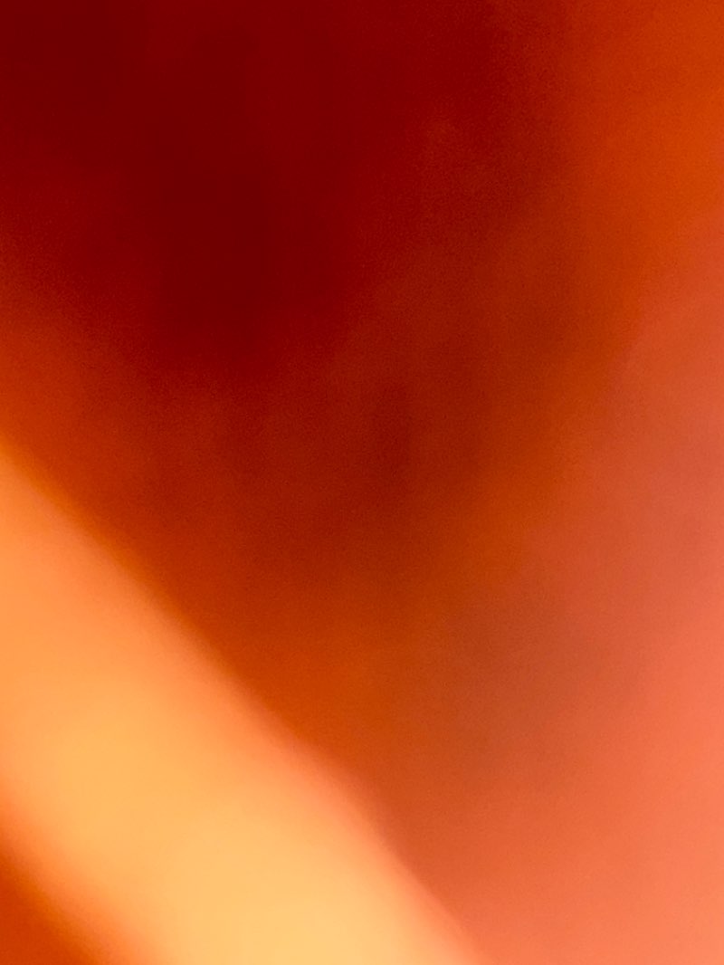 walking near me in Spring Tree Park in winter