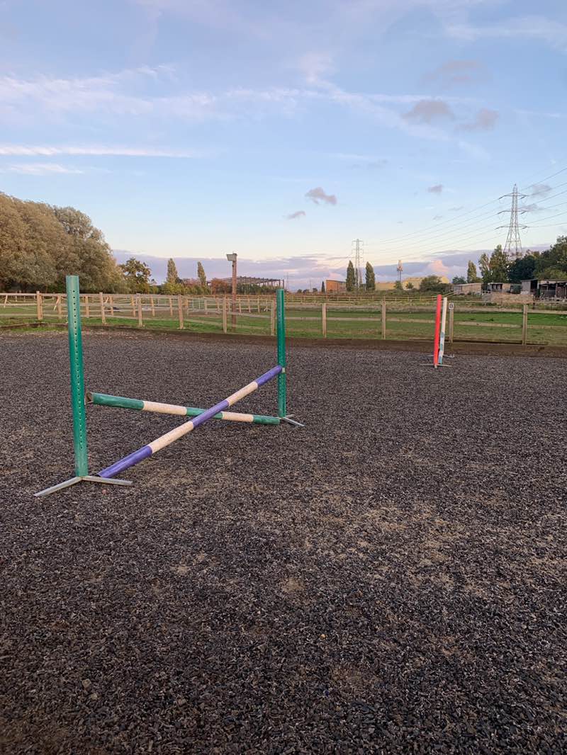 walking near me in Mayflower Park in autumn
