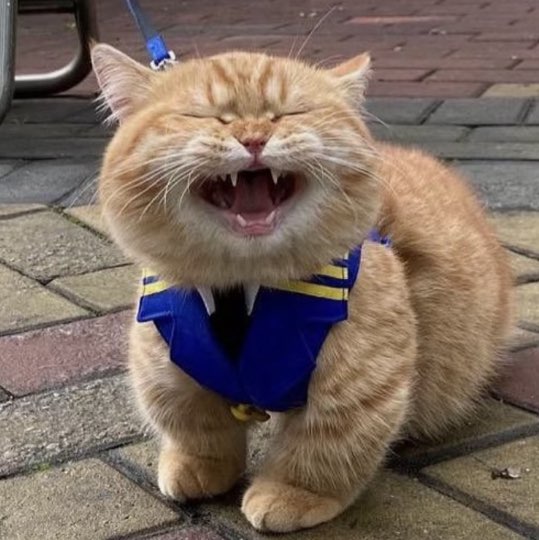 Бездарность