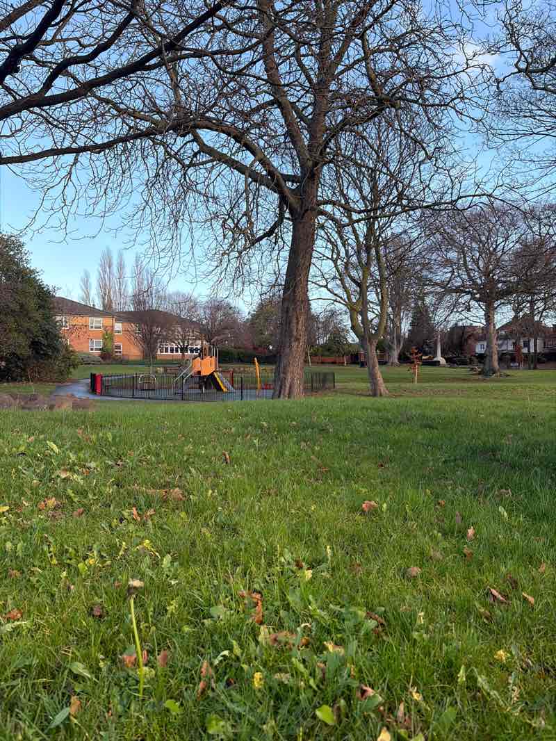 walking near me in Ing Grove Park in winter