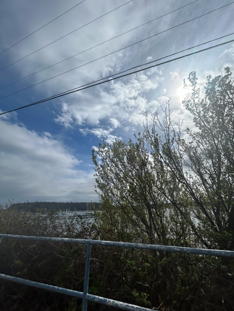 walking near me in Marina Way Park in winter