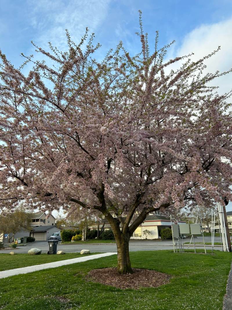 walking near me in Flintstone Park in winter