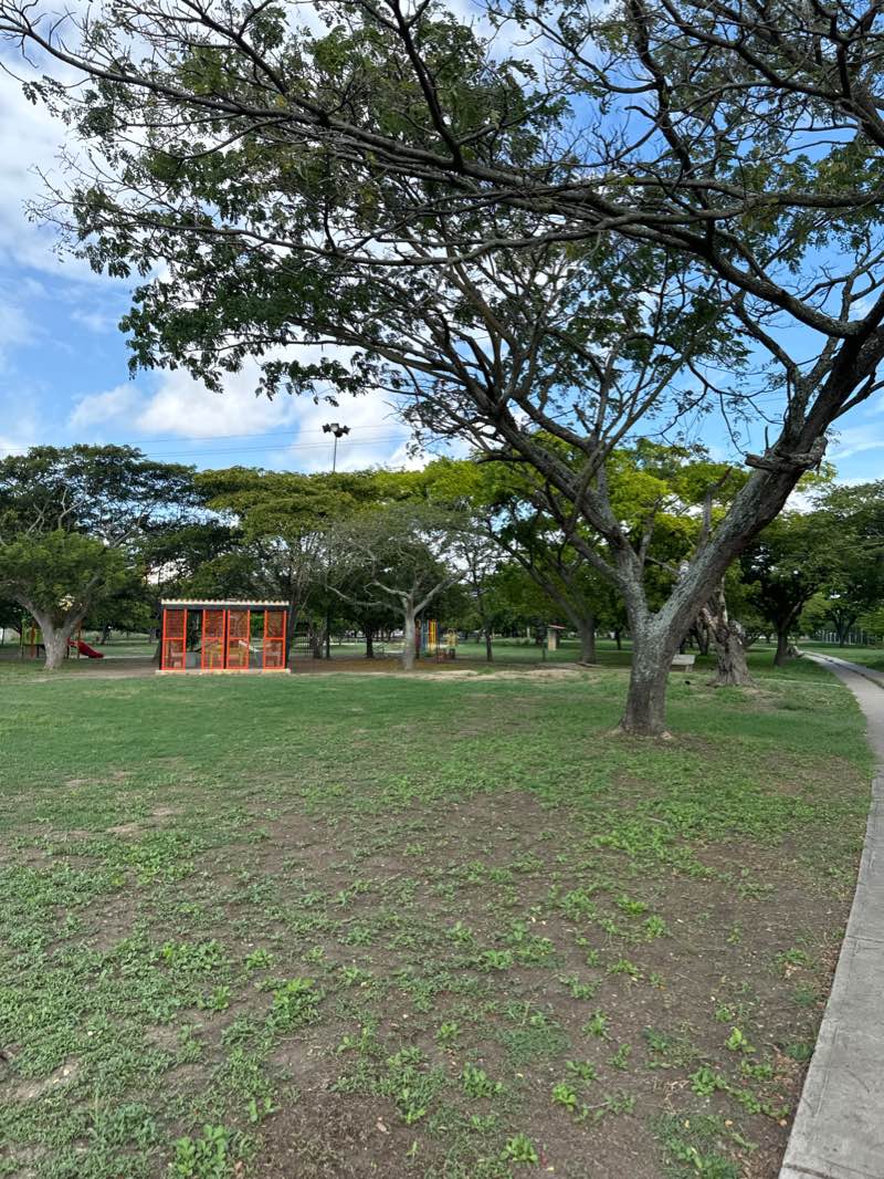 walking near me in Parque del Este in winter