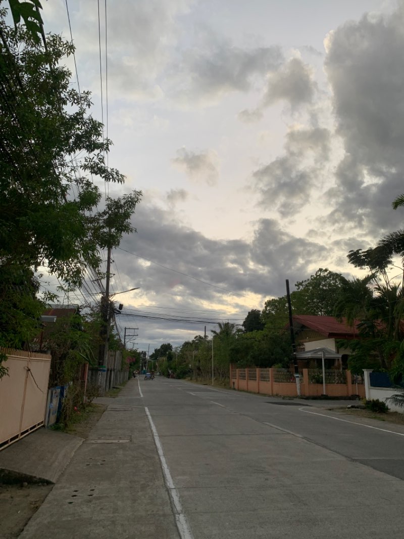 walking near me in General Ricarte Park in winter