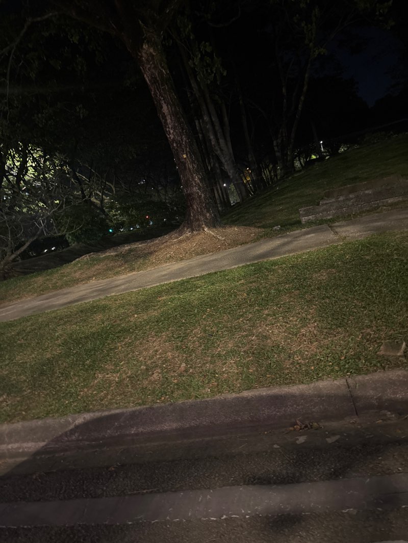 walking near me in Cyberjaya Mini Park in autumn