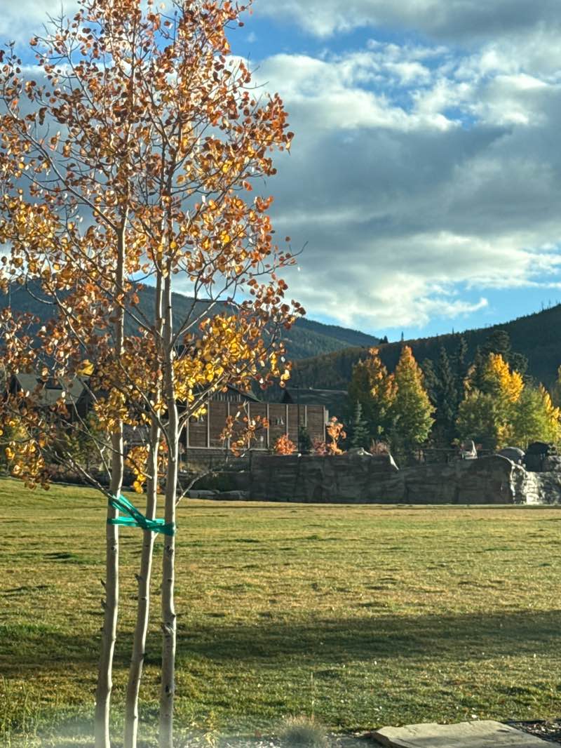walking near me in Town Park in autumn