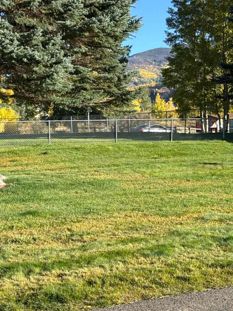walking near me in Trent Park in autumn