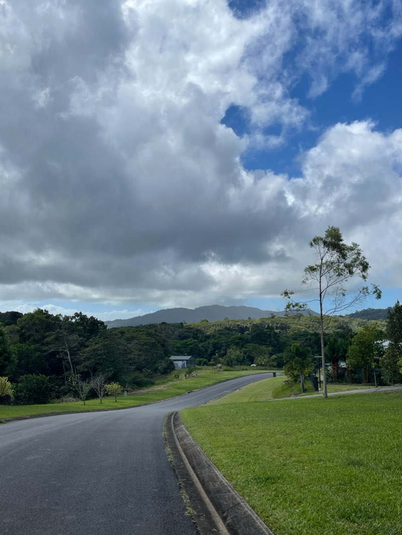 walking near me in Barron Gorge Forest Reserve in summer