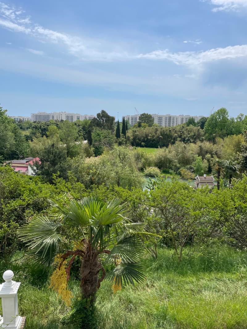 walking near me in Park of Southern Cultures in winter