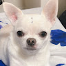 sayuri
