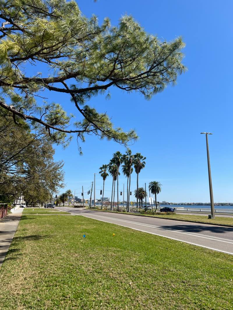 walking near me in Anderson Park in winter
