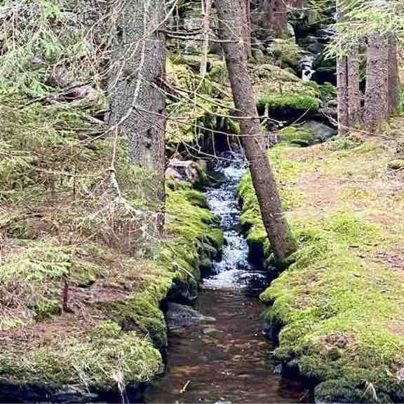 Petr da Roomboy_71✅ post 2