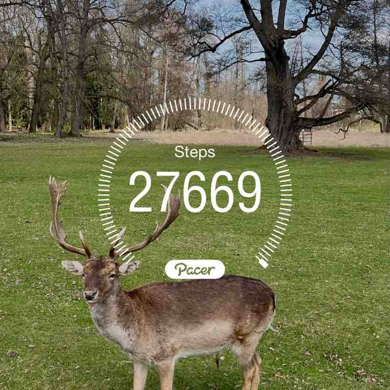 Petr da Roomboy_71✅ post 1