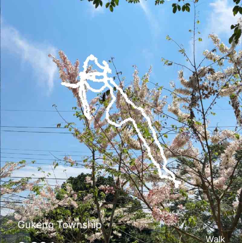 𝒞𝒽𝒾𝑒𝑒̶་̤ post 1