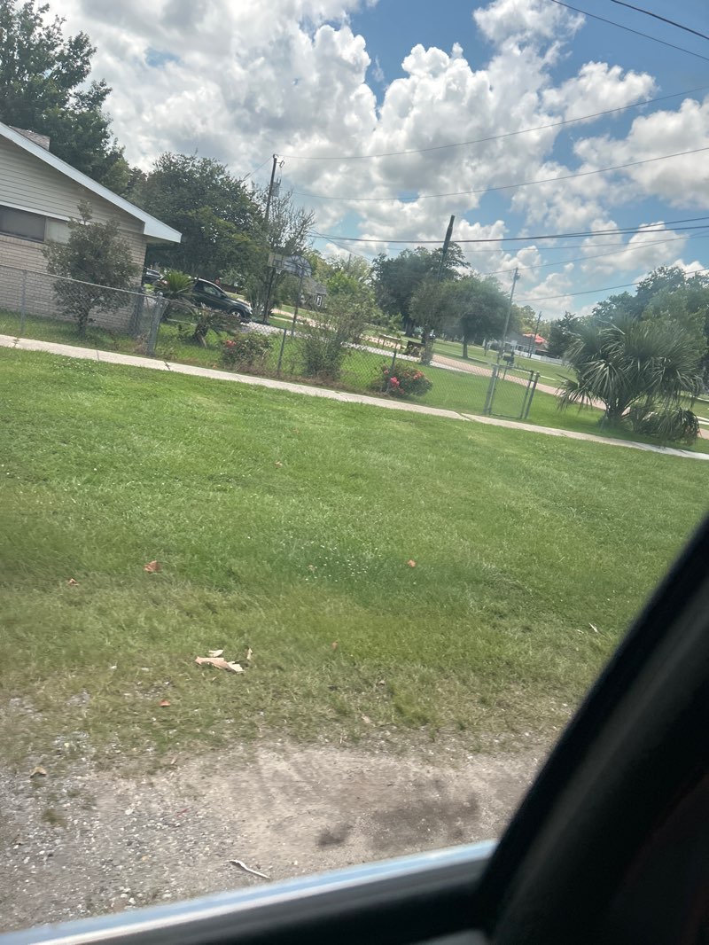 walking near me in Memorial Park in summer