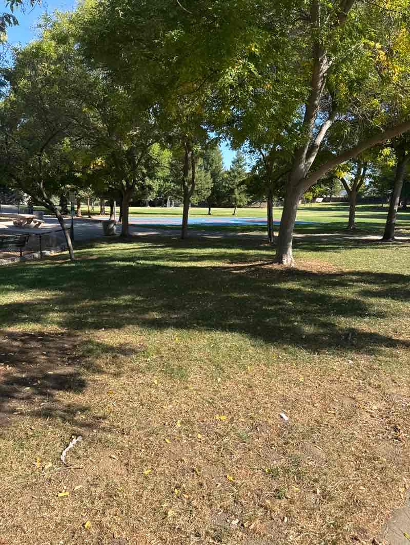 walking near me in Tawny Park in autumn