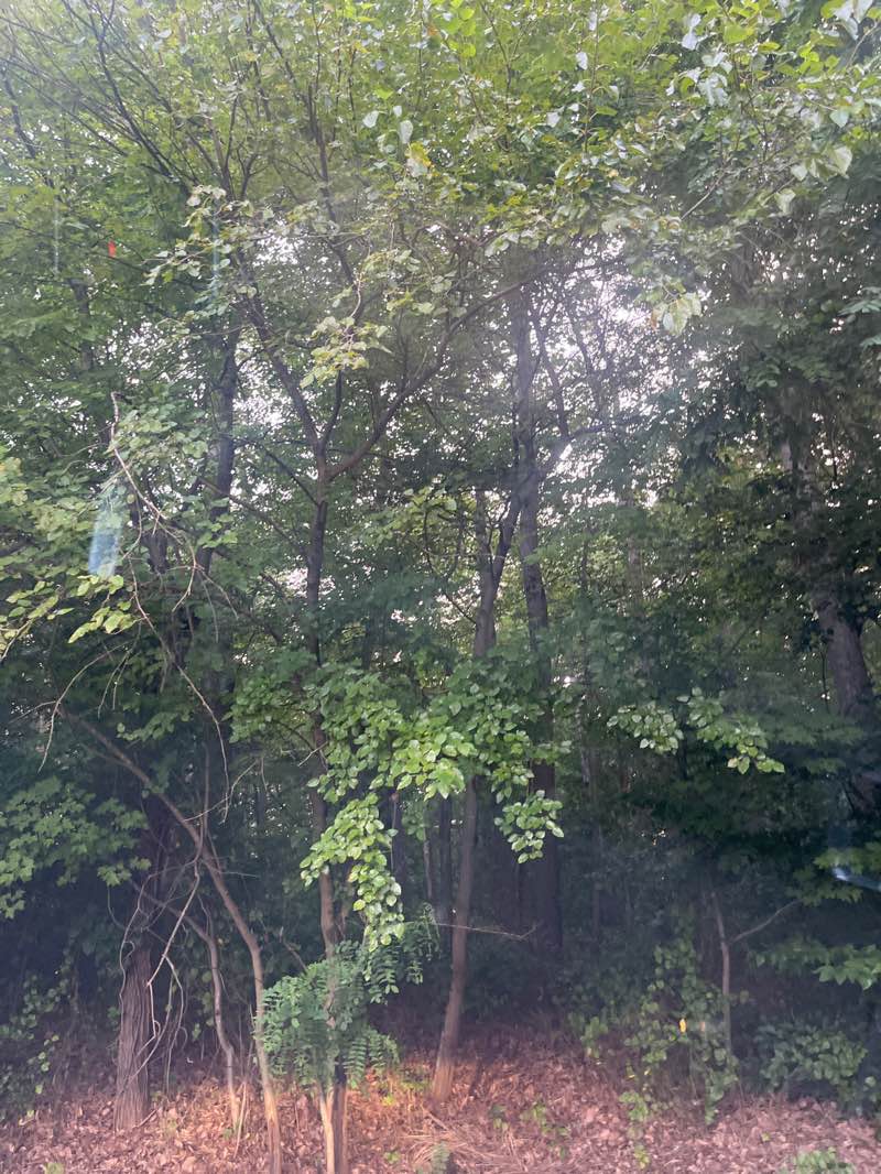 walking near me in Mount Laurel State Park in autumn