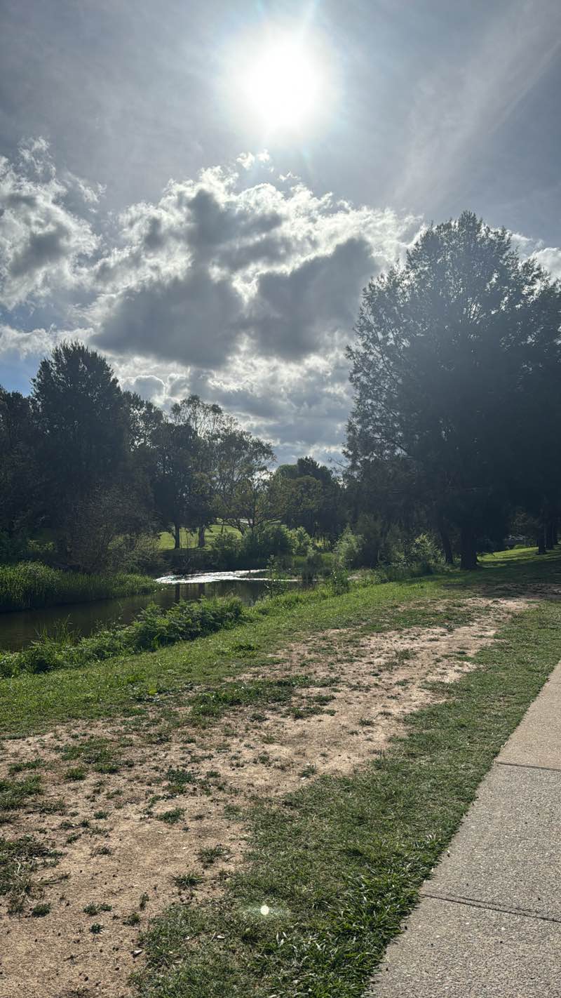 walking near me in Peace Park in spring