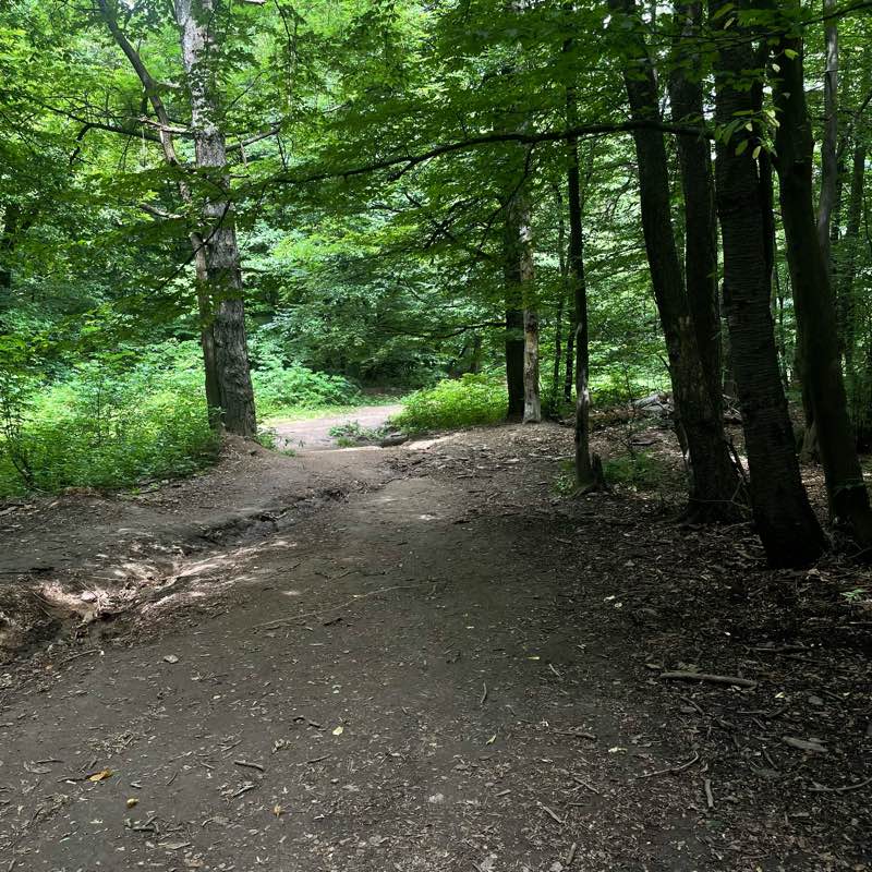 walking near me in Комсомольский парк in winter
