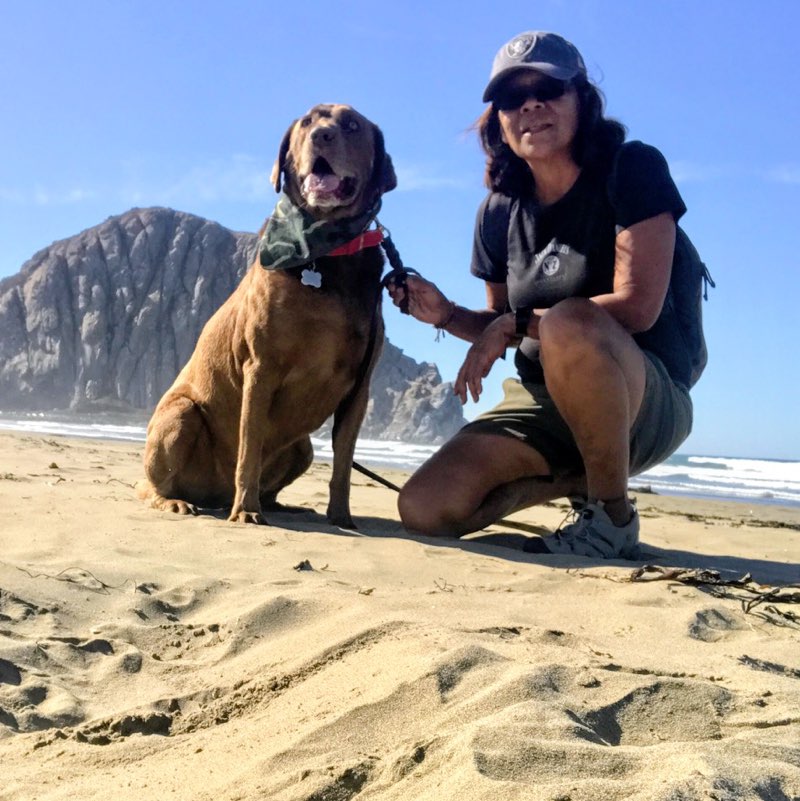Donna 🇺🇸🥾 🚶🏽‍♀️🦴🐕🌈