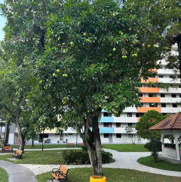 Tan Kok Hian post 1