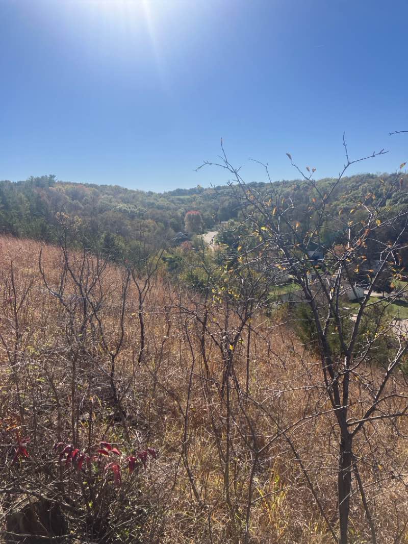 walking near me in Zander Community Nature Park in winter
