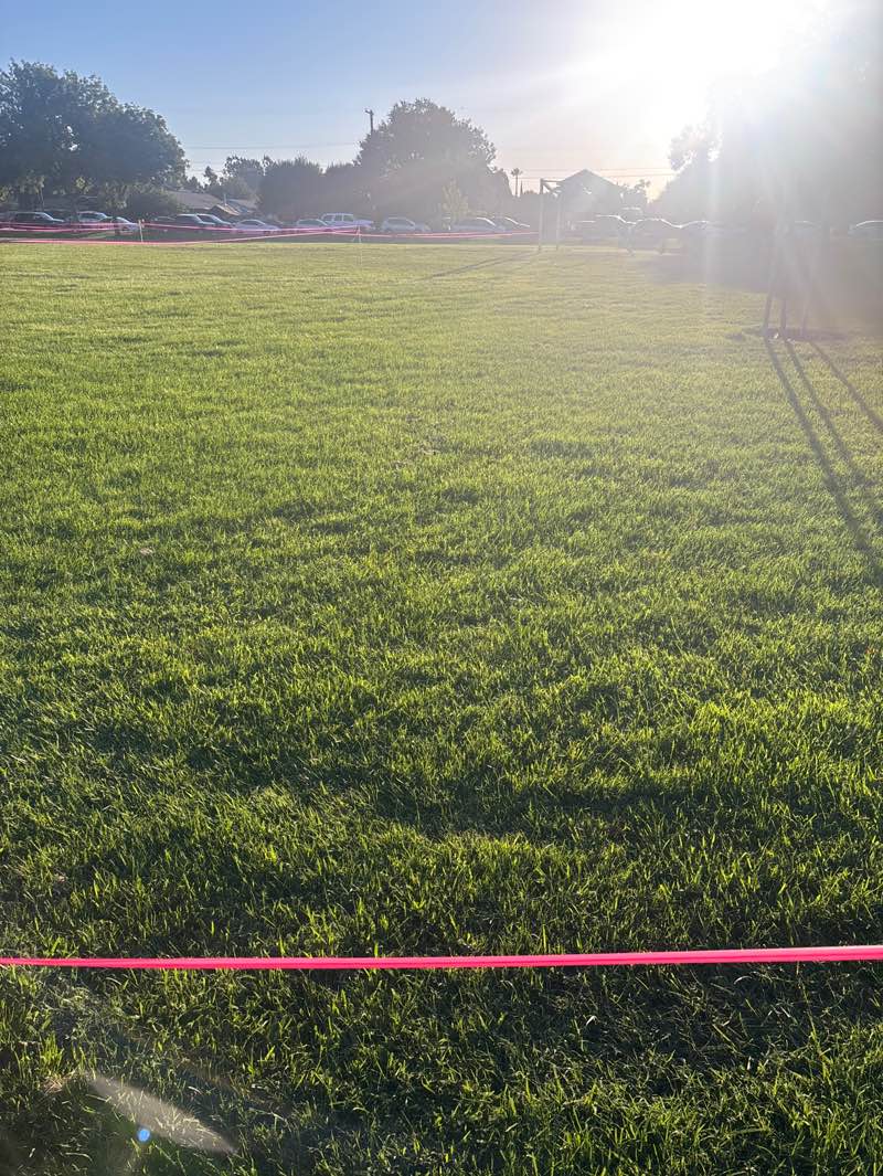 walking near me in John Thurman Field in autumn
