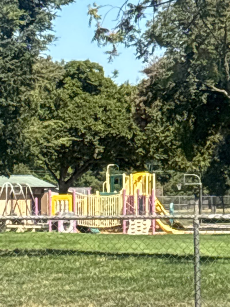 walking near me in Muncy Park in autumn