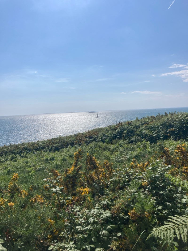 walking near me in Parc du Fogeo in spring
