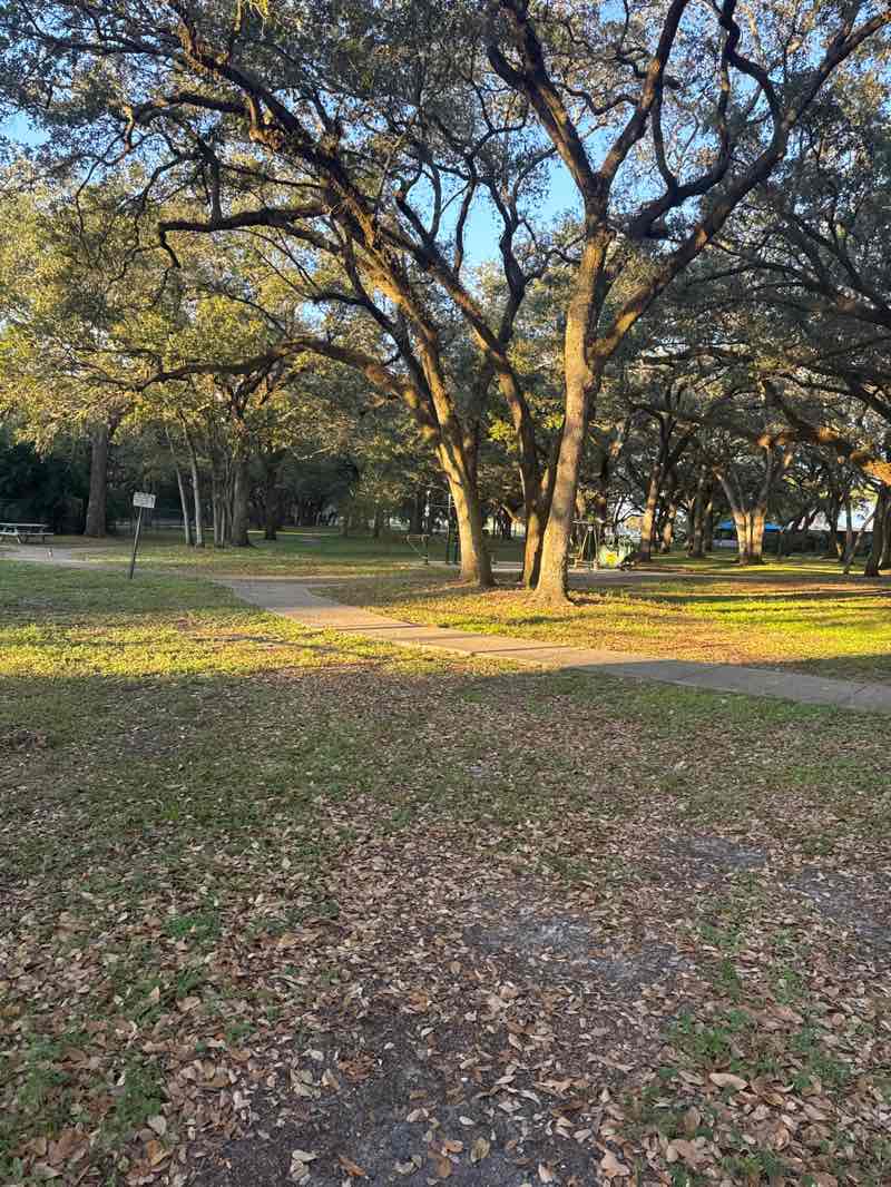 walking near me in Davie Pine Island Park in winter