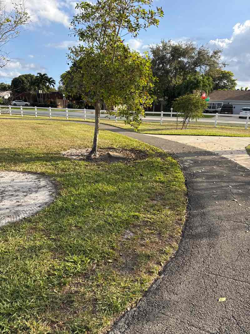 walking near me in Ted Ferone Park in winter