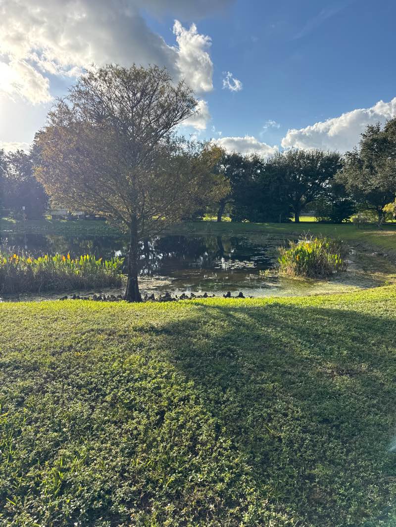 walking near me in Trailside "Founders" Park in winter