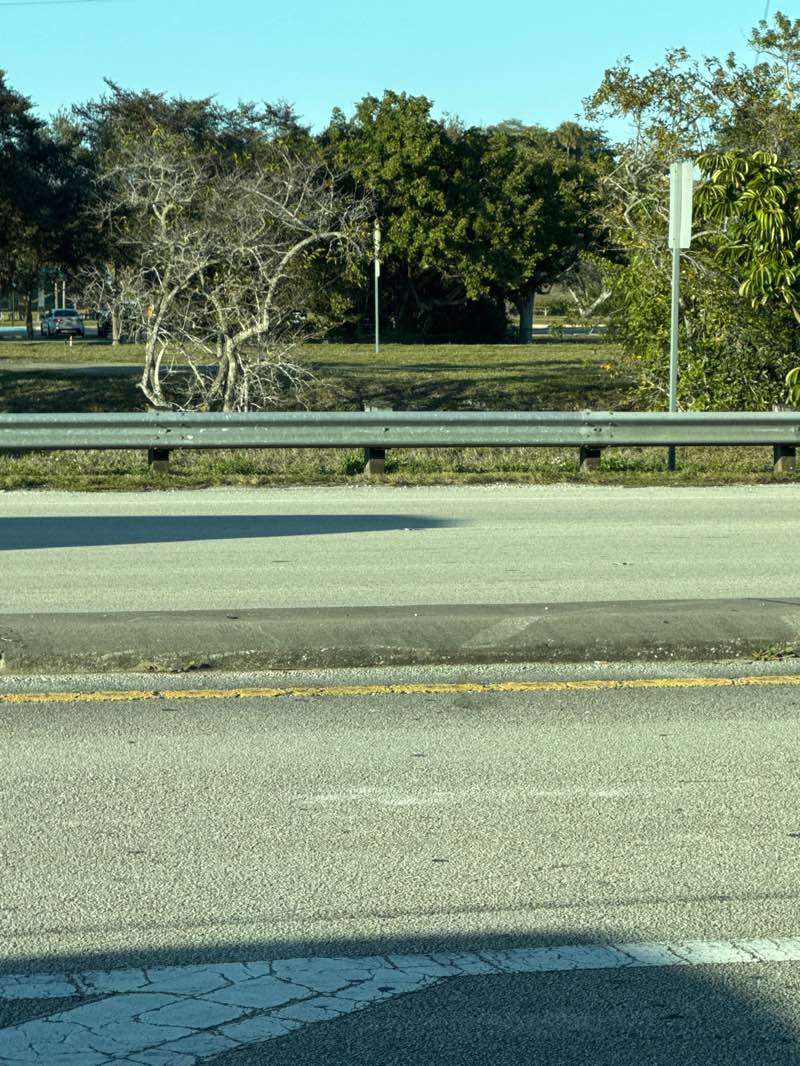 walking near me in Orange Drive Linear Park in winter