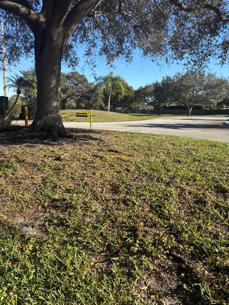 walking near me in Bergeron park in winter