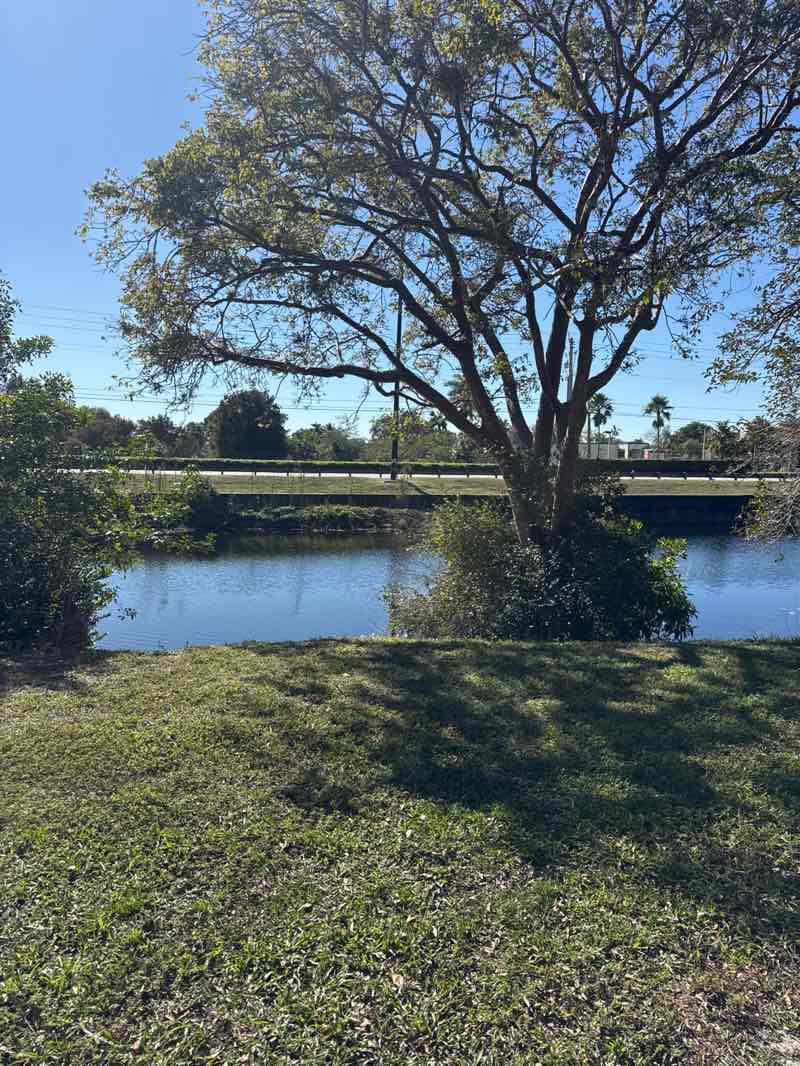 walking near me in Orange Drive Linear Park in winter