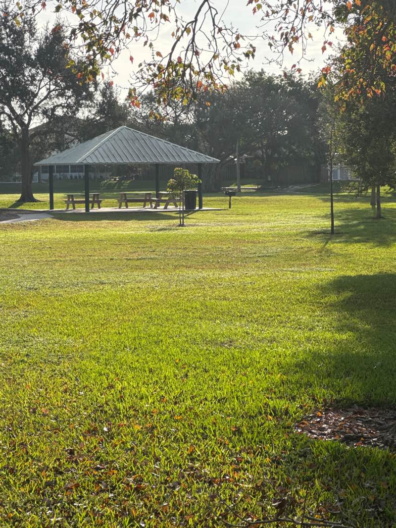 walking near me in Reflections Park in winter