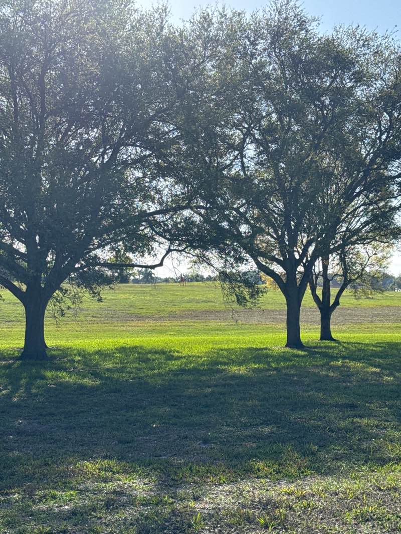 walking near me in west ridge open space nature preserve in spring