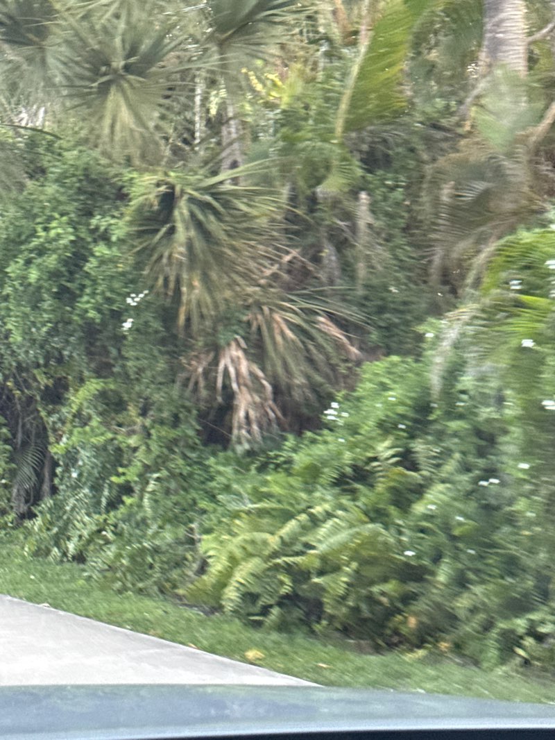 walking near me in New River Greenway in spring
