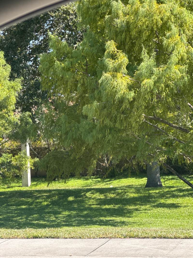 walking near me in Trailside "Founders" Park in summer