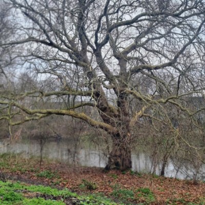 LBS 4 PEACE LBS 4 PEACE post image