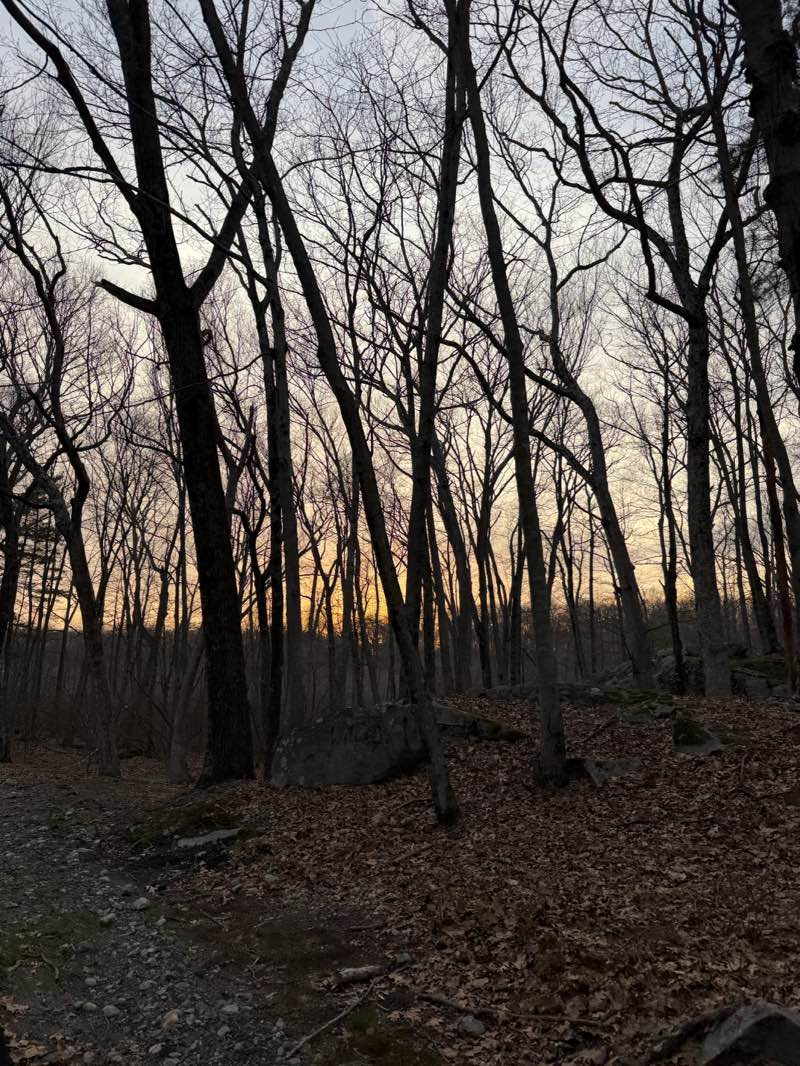 walking near me in Lincoln Woods State Park in spring