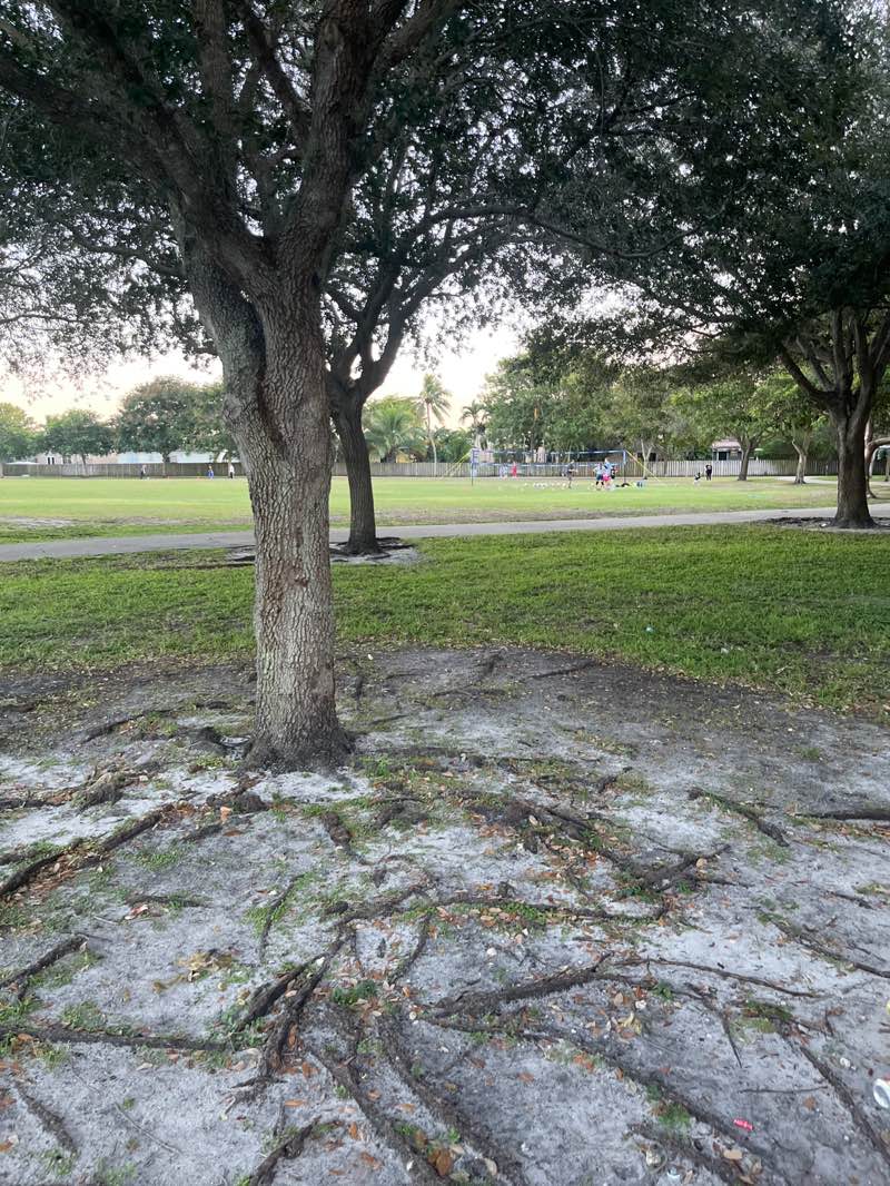 walking near me in Country Lake Park in autumn