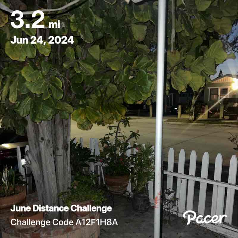 Paloma Mercado post 1