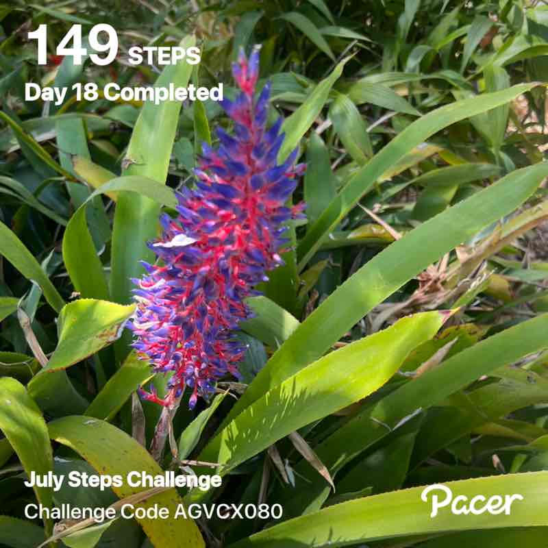 Paloma Mercado post 1