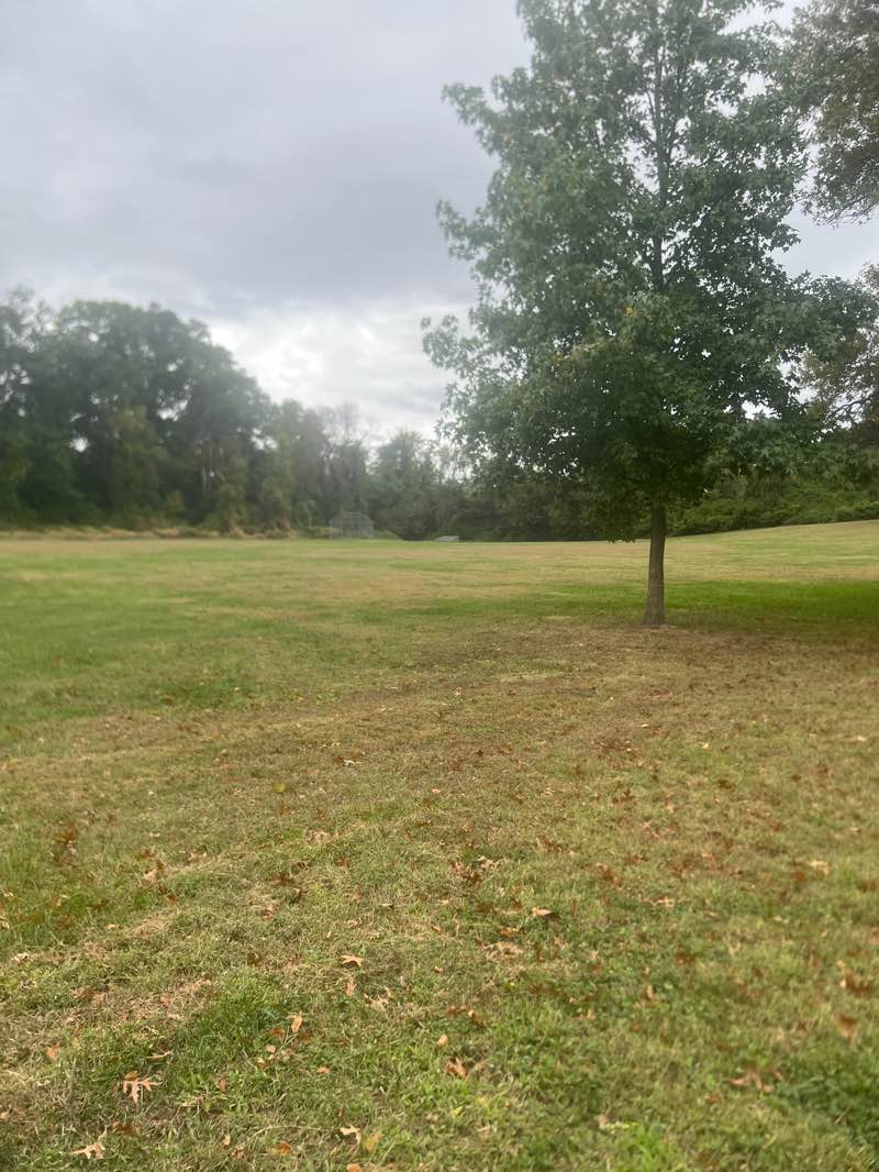 walking near me in Russel Park in autumn